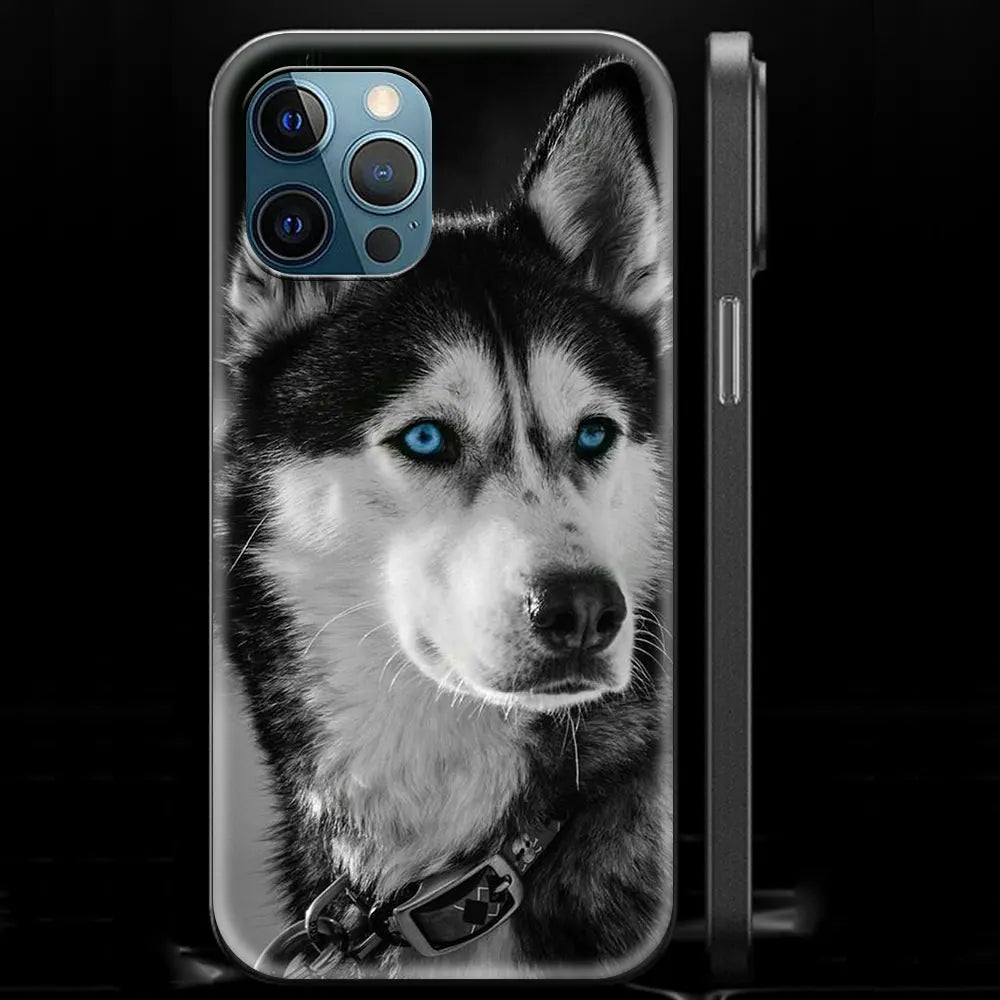 Alaskan Husky Dog IPhone Case