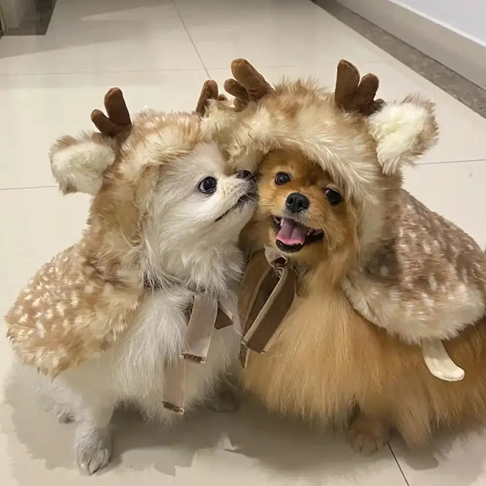 Pet Christmas Costume