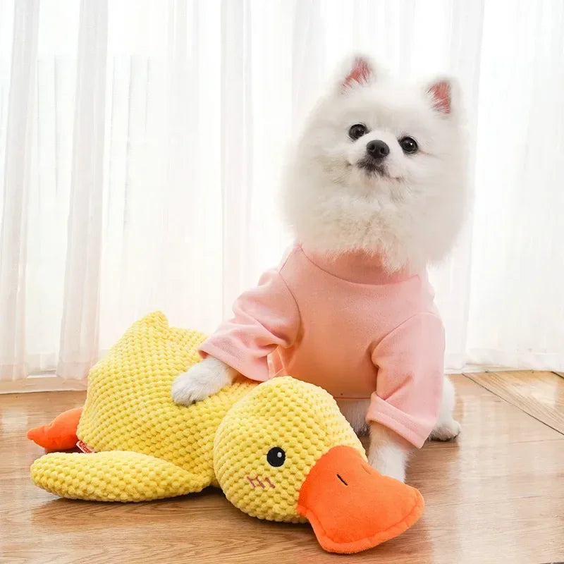 Duck Dog Chew Toy