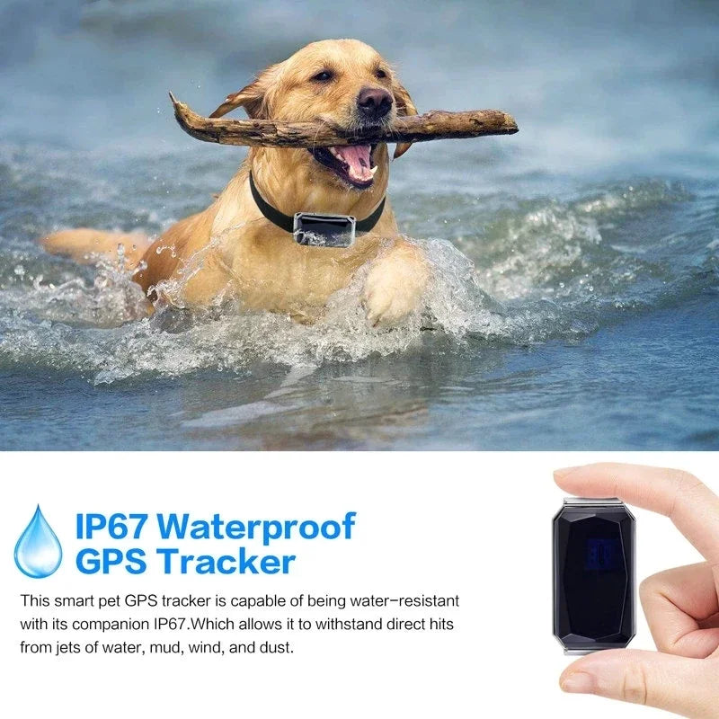 Pet GPS Tracker