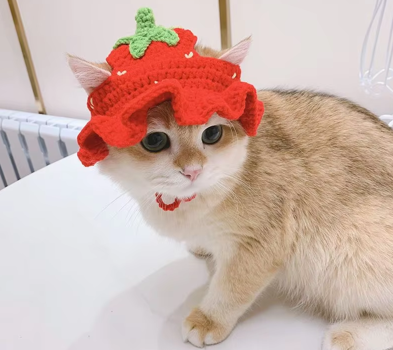 Cute Woolen Yarn Puppy Cap