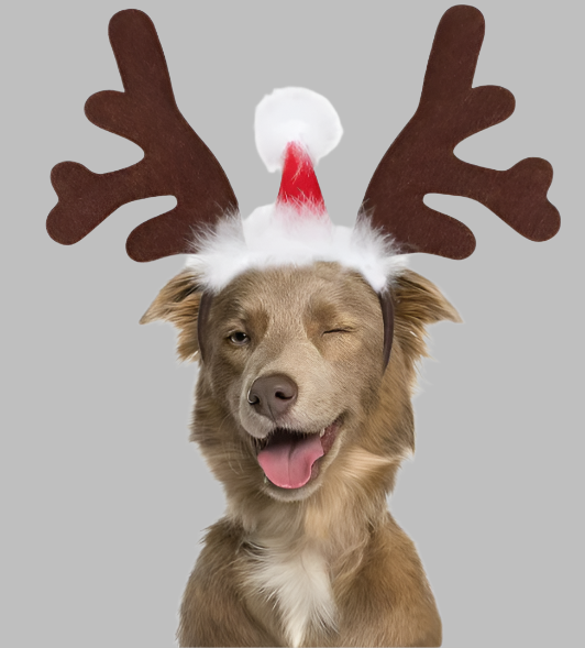 Christmas Dogs Headband