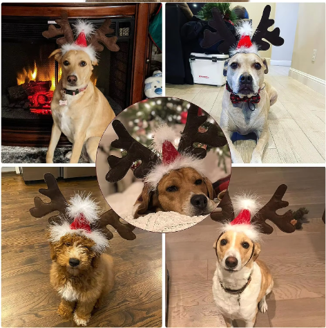 Christmas Dogs Headband