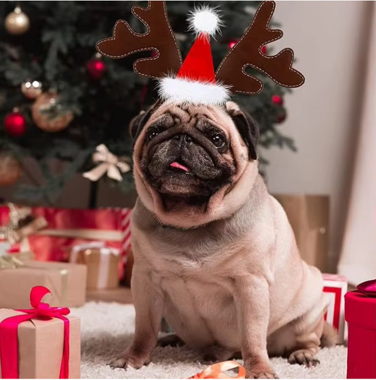 Christmas Dogs Headband