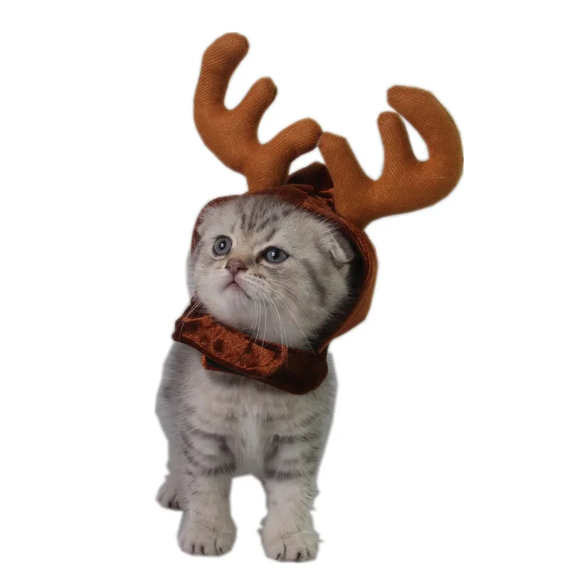 Cute Pet Christmas Hat