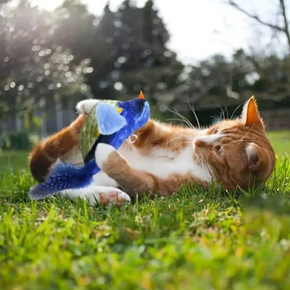Interactive Cat Toys