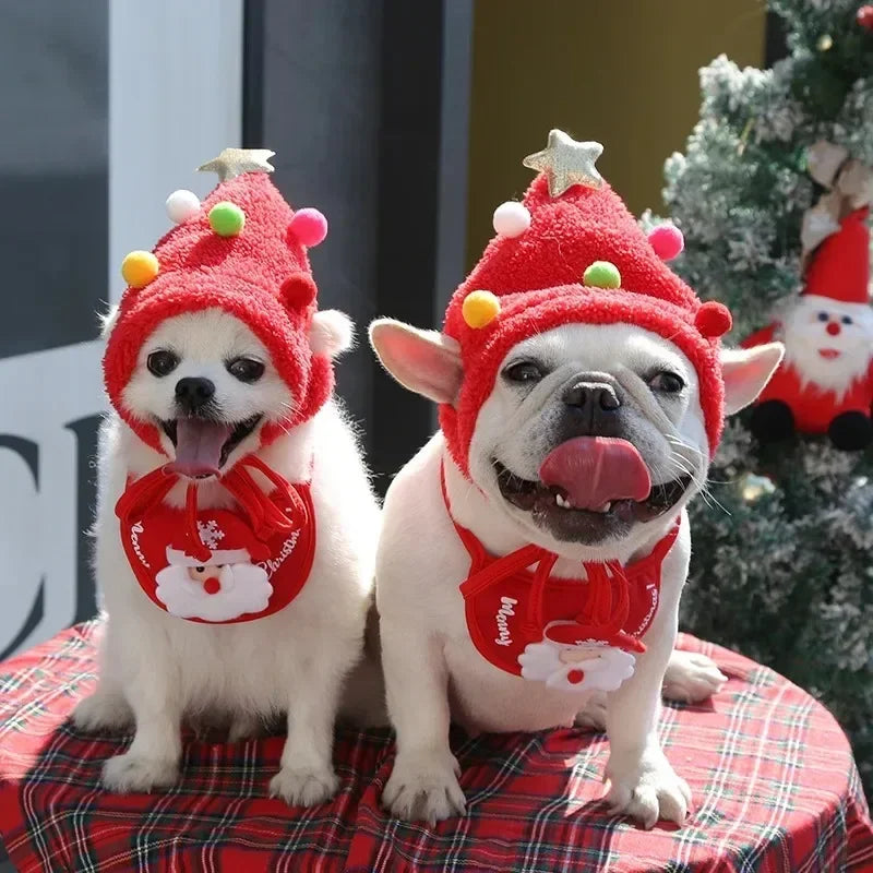 Christmas Pet Hat