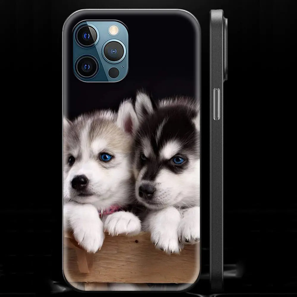 Alaskan Husky Dog IPhone Case