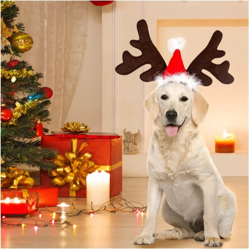 Christmas Dogs Headband