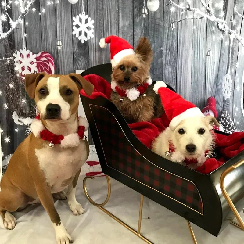 Christmas Party Pet Hat