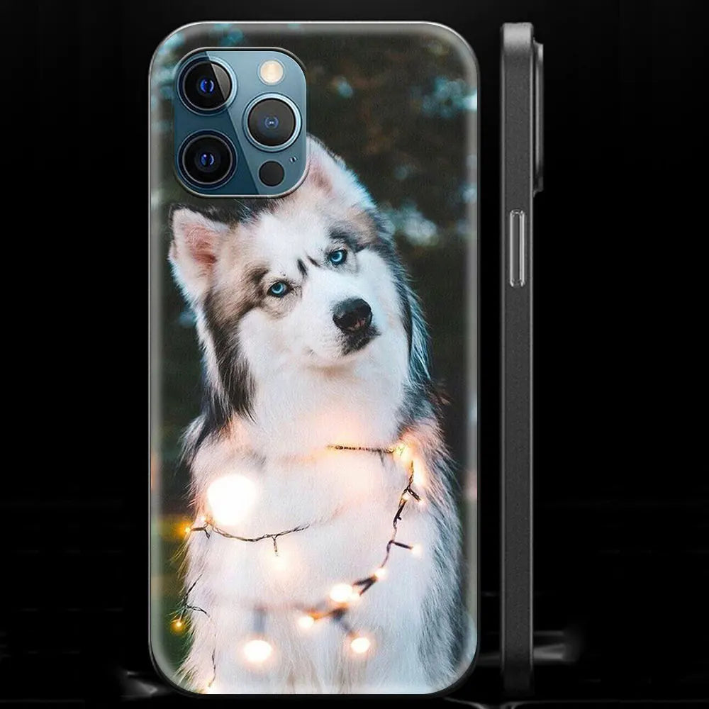 Alaskan Husky Dog IPhone Case
