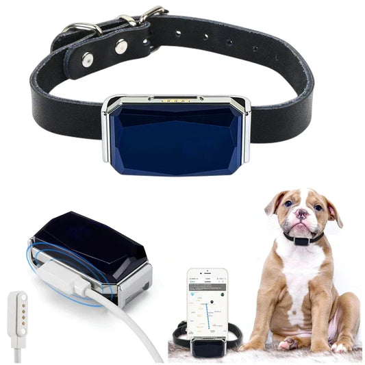 Pet GPS Tracker