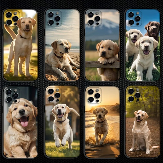 Cute Labrador Dog IPhone Case