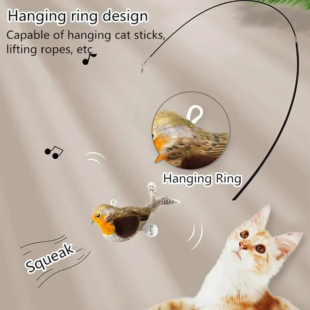 Interactive Cat Toys