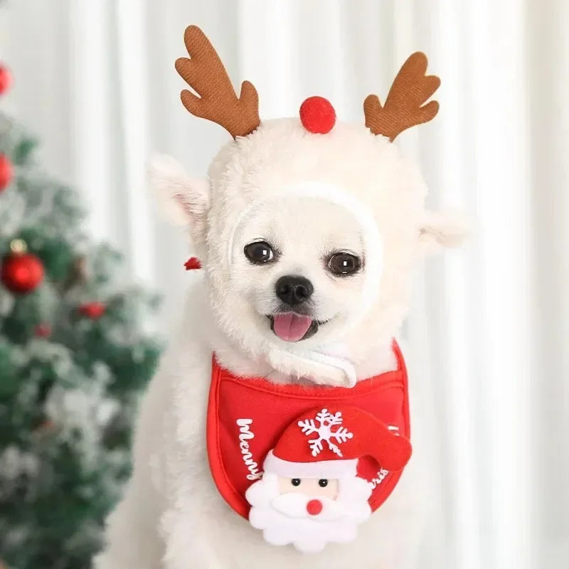 Christmas Pet Hat