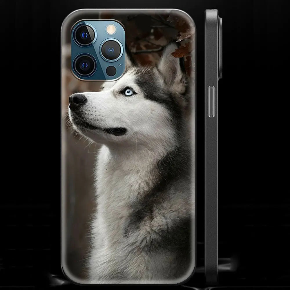 Alaskan Husky Dog IPhone Case