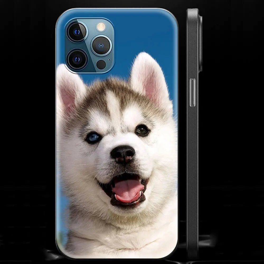 Alaskan Husky Dog IPhone Case