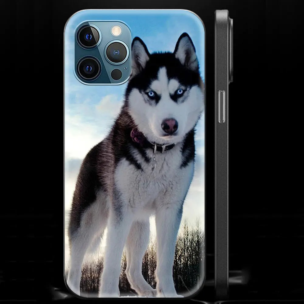 Alaskan Husky Dog IPhone Case