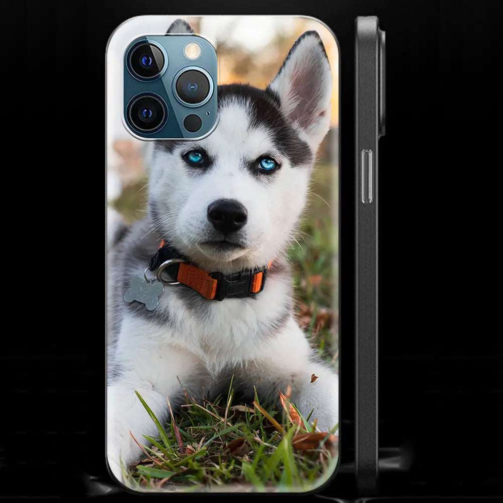 Alaskan Husky Dog IPhone Case