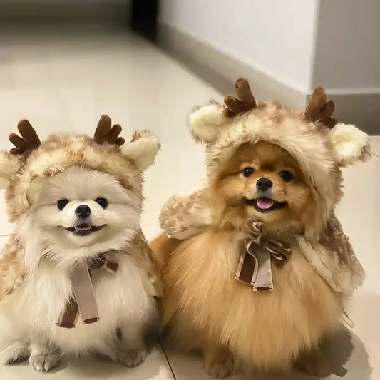 Pet Christmas Costume