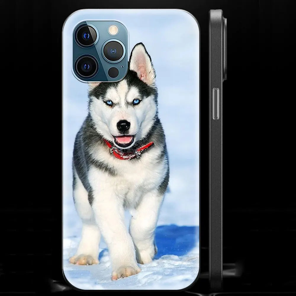 Alaskan Husky Dog IPhone Case