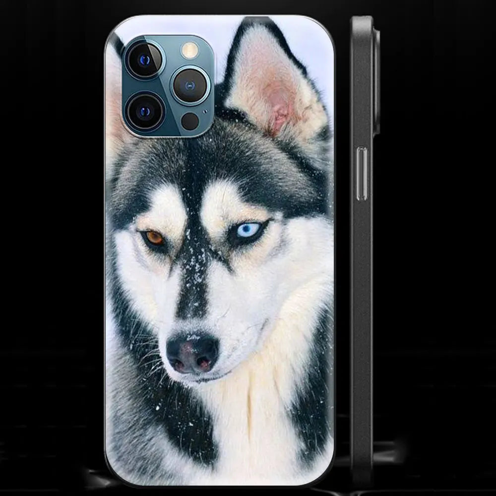 Alaskan Husky Dog IPhone Case