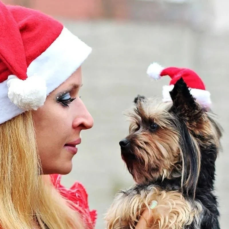 Christmas Party Pet Hat