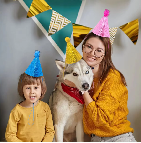 Party Funny Hat