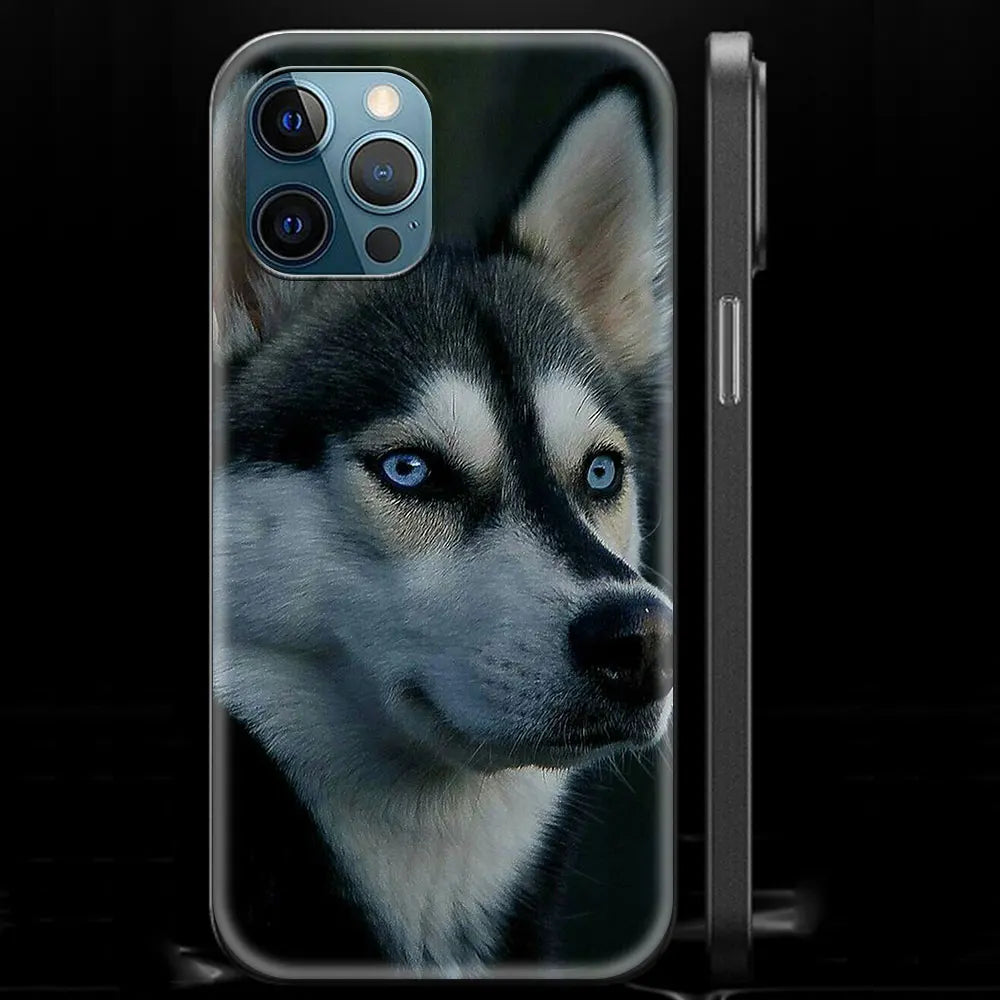 Alaskan Husky Dog IPhone Case
