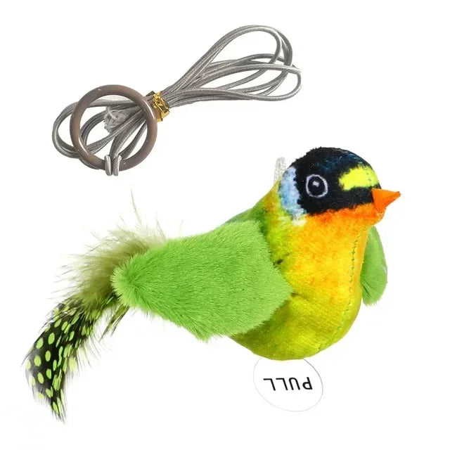 Interactive Cat Toys